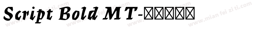 Script Bold MT字体转换